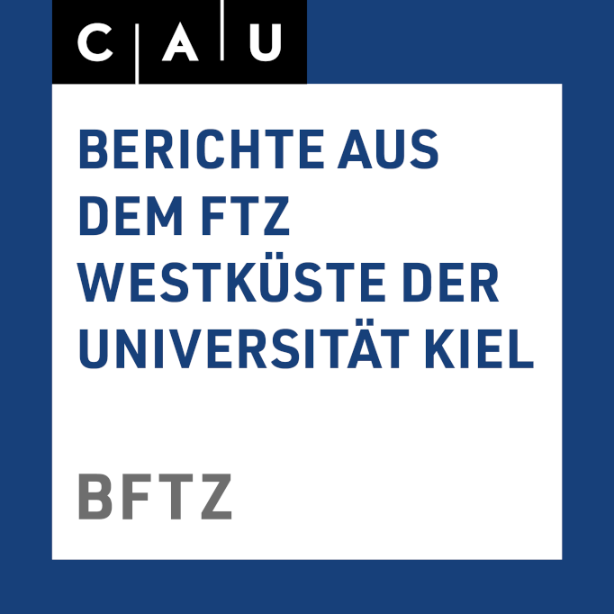 Logo BFTZ